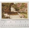vintage postcard Old Mill Gardens, Wannock Cent...