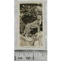 1926 Pattreiouex Real Photos Animals No. CA83 -...
