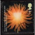 Great Britain 2004 RHS 1st Dahlia Garden Prince...