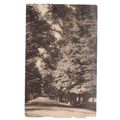 CHRIST CHURCH AVENUE, OXFORD , unused antique p...