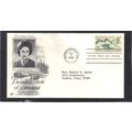 FDC Art Craft 1318 5c Beautification (Cachet-Ty...