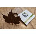 8 THANKSGIVING AUTUMN LIVING QUARTERS COPPER ME...