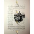 London, Highlander, Vogel, Book Illustration (P...