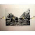 Hyde Park, London, Bocher/Frith, Book Illustrat...