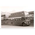 Black & White Photograph of Manchester Corporat...