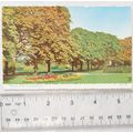 old postcard Middle Park, Southampton