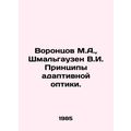 Vorontsov M.A., Schmalhausen V.I. Principles of adaptive optics. In Russian /V