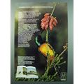 1973 Satour South African Tourist Corporation Ad