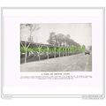PARK OF BRITISH TANKS, FRANCE, PHOTO BOOK ILLUS...