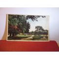 WIMBLEDON COMMON, London used vintage postcard ...