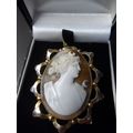 Antique Gold and Shell Beautiful Detail Cameo B...
