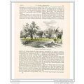 STANWELL VILLAGE GREEN, BOOK ILLUSTRATION (PRIN...