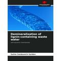 Demineralization of lignin-containing waste wat...