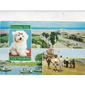 Cleethorpes Postcard posted 1978 corner crease