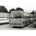 Black & White Photograph of Rimes Coaches of Sw...