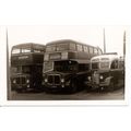 Black & White Photograph of G.W. Osborne & Sons...