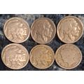 6 FULL DATE NICKLES 5 Indian Head / Buffalo: 19...