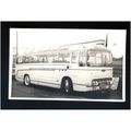 AEC RELIANCE/Duple Coach Photograph Postcard