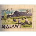 Malawi Queen Elizabeth II 1966 6d Tea Industry ...