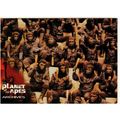 Planet of the Apes Archives Promo Trading Card ...