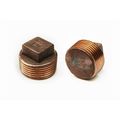 Brass Plug 1 1/4"
