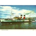 Waverley Excursions PS WAVERLEY Postcard (Denni...