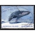Norfolk Island 2024 Humpback Whale - Humpback W...