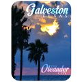 Galveston Texas The Oleander City Photo Fridge ...