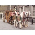 Colour Postcard - Whitbread Shire Horses Pullin...