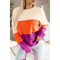 Multicolor Color Block Drop Shoulder Round Neck...