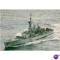 GB Postcard - HMS Cleopatra. F 28
