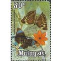 MALAYSIA, BUTTERFLY, Saturn, green 1970, 30c, #3