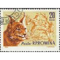 ROMANIA, CAT, Lynx, Lynx lynx, orange 1961, 20bani, #3