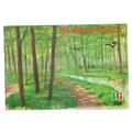 WOODLAND WILDLIFE . Brooke Bond Tea album with ...