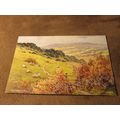 Valentines Postcard - Sheep on Cotswold Hills -...