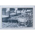 c.1980s PC Land Girls at Charcoal Plant nr Card...