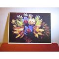 LEUCODENDRON FLOWER OF SOUTH AFRICA used postca...