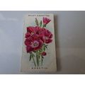 1913 Wills's Cigarettes Old English Garden Flow...