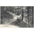 63 - Le Mont Dore - le capucin - chemin des art...