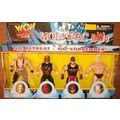 wcw wwe wwf ljn classic superstars nwo wolfpac ...