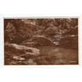Roman Bridge Marple Postcard Cheshire 216612