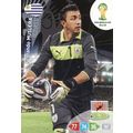 Adrenalyn XL World Cup 2014 Fernado Muslera Uru...