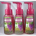 3 bottles Bath & Body Works Gentle Foaming Hand...