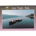 Llyn Tegid Lake Bala Postcard posted crease