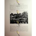 Part Of Black Town, Calcutta (Kolkata), Gotorbe...