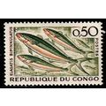 Congo 1961 Tropical Fish 50c Used Stamp