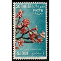 Somalia 1955 Flowers So 0,01 Used Stamp.