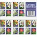 Winter Flowers Booklet of 20 First Class Postag...