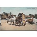 Street Scene, Tajpore, c.1905 - Postcard