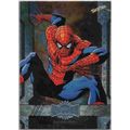 2023 MARVEL METAL AVENGERS 100 card SET ( low c...